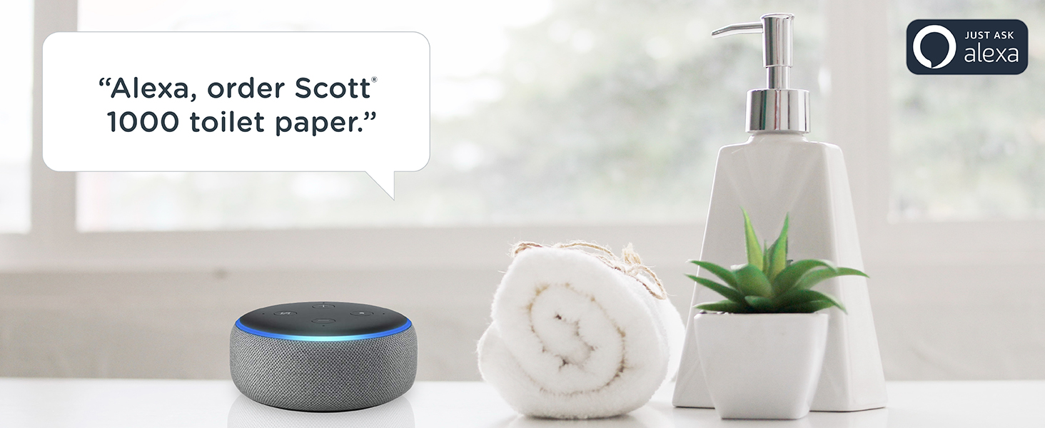 Alexa order scott 1000 toilet paper